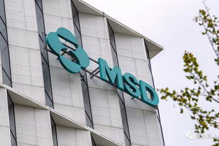 医药巨头默沙东再裁500人，行业洗牌加速 多家巨头轮番卖厂重组
